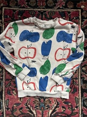 Ants & Fruits Sweatshirt 6/7Y